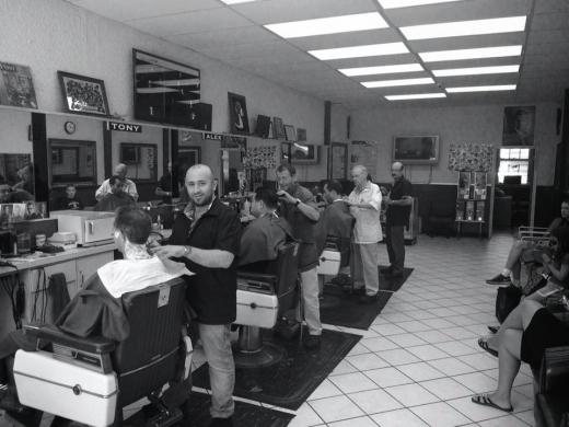 Palace Barber Shop in Port Washington City, New York, United States - #3 Photo of Point of interest, Establishment, Health, Hair care