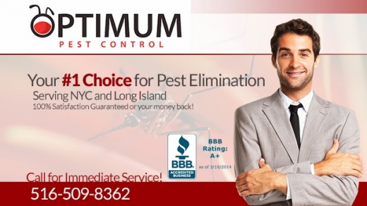 Photo by Optimum Termite & Pest Control, Inc. for Optimum Termite & Pest Control, Inc.