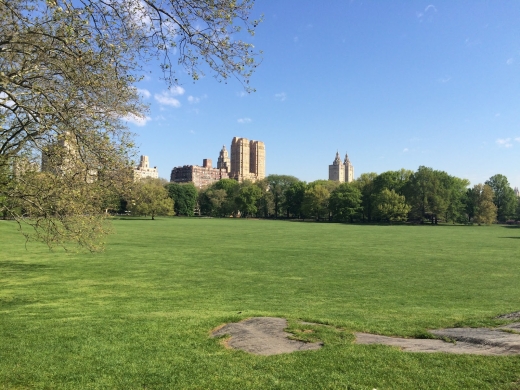 Sheep Meadow in New York City, New York, United States - #2 Photo of Point of interest, Establishment, Park