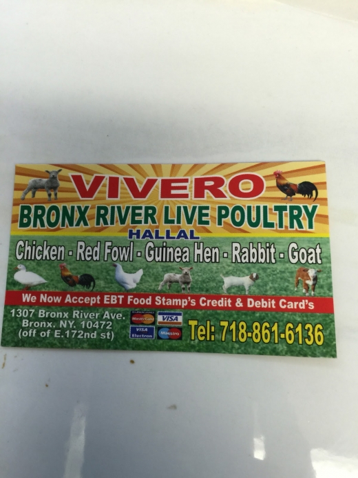 Photo by <br />
<b>Notice</b>:  Undefined index: user in <b>/home/www/activeuser/data/www/vaplace.com/core/views/default/photos.php</b> on line <b>128</b><br />
. Picture for Bronx River Live Poultry in Bronx City, New York, United States - Food, Point of interest, Establishment