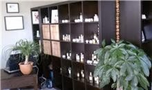 Novo Organic Skin Care in Nutley City, New Jersey, United States - #3 Photo of Point of interest, Establishment, Store, Health, Spa, Beauty salon