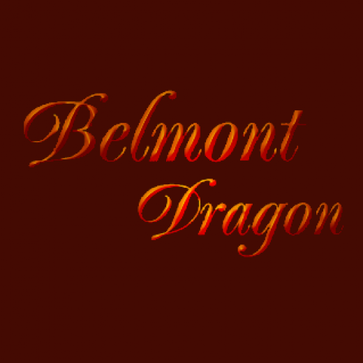 Belmont Dragon Chinese Restaurant in Haledon City, New Jersey, United States - #4 Photo of Restaurant, Food, Point of interest, Establishment