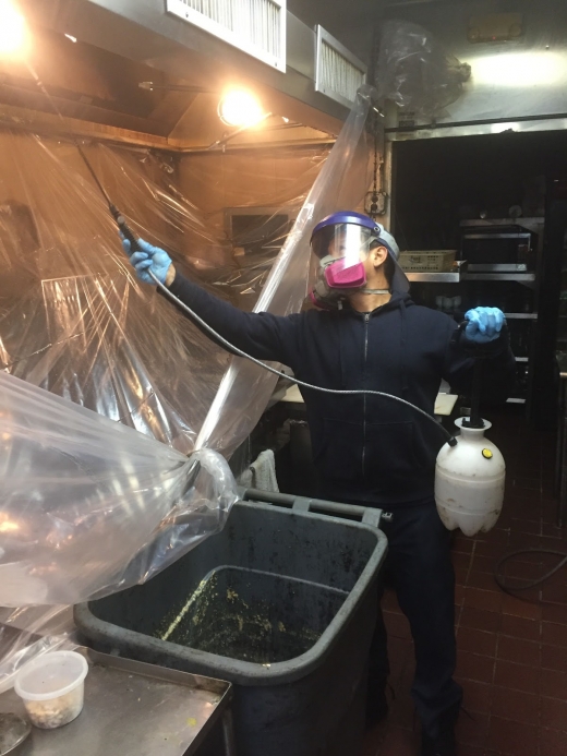 Nitti's Exhaust Hood Cleaning in Iselin City, New Jersey, United States - #3 Photo of Point of interest, Establishment