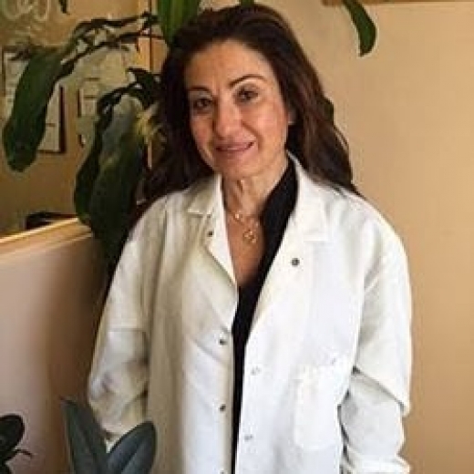 Effie Sofos DMD in Emerson City, New Jersey, United States - #3 Photo of Point of interest, Establishment, Health, Dentist