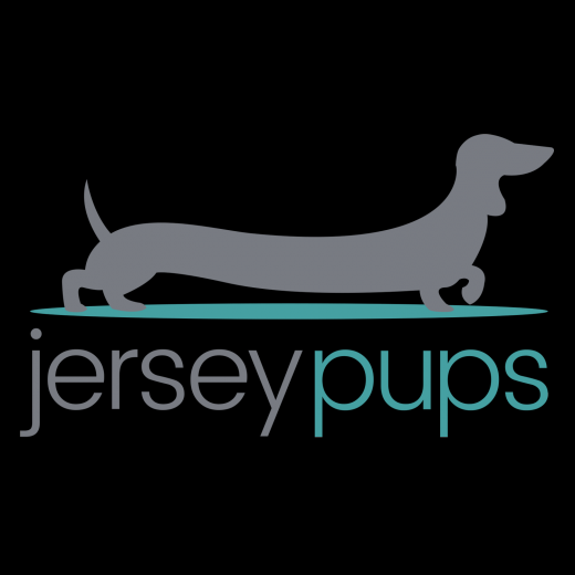 Photo by Jersey Pups for Jersey Pups
