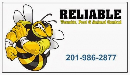 Reliable Termite Pest and Animal Control in Hasbrouck Heights City, New Jersey, United States - #1 Photo of Point of interest, Establishment, Store, Home goods store
