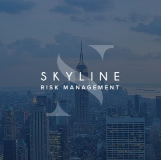 Skyline Risk Management, Inc. in Queens City, New York, United States - #1 Photo of Point of interest, Establishment, Insurance agency
