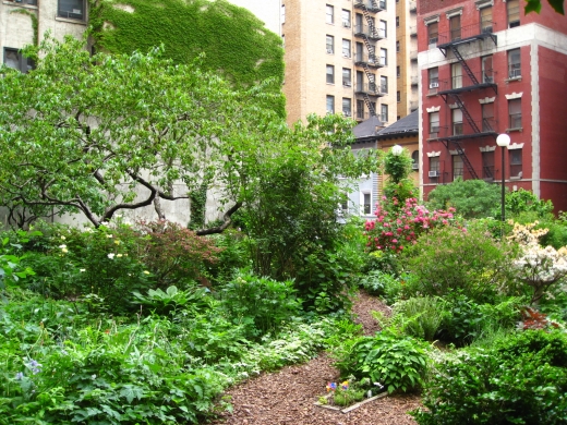 Lotus Garden in New York City, New York, United States - #1 Photo of Point of interest, Establishment, Park