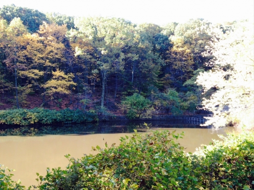 Clove Lakes Park in Staten Island City, New York, United States - #3 Photo of Point of interest, Establishment, Park