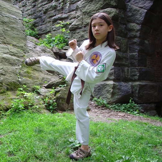 Photo by Upper West Side Karate, Fukasa Kai Martial Arts for Upper West Side Karate, Fukasa Kai Martial Arts