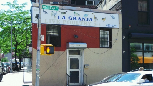 Photo by Walkertwentytwo NYC for La Granja Live Poultry Corporation