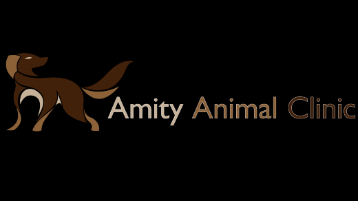 Amity Animal Clinic in Belleville City, New Jersey, United States - #3 Photo of Point of interest, Establishment, Veterinary care