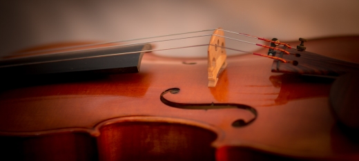 Photo by <br />
<b>Notice</b>:  Undefined index: user in <b>/home/www/activeuser/data/www/vaplace.com/core/views/default/photos.php</b> on line <b>128</b><br />
. Picture for StringSchool : Violin Lessons for Adults in New York City, New York, United States - Point of interest, Establishment