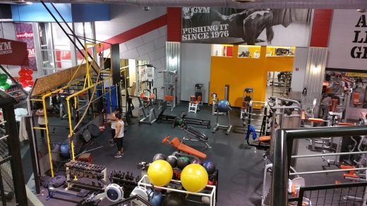 Photo by <br />
<b>Notice</b>:  Undefined index: user in <b>/home/www/activeuser/data/www/vaplace.com/core/views/default/photos.php</b> on line <b>128</b><br />
. Picture for World Gym of Ridgewood in Queens City, New York, United States - Point of interest, Establishment, Health, Gym