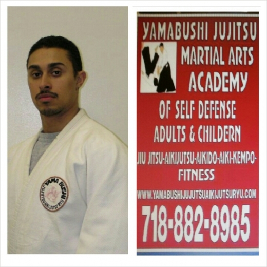 Yamabushi Jujutsu-Aikijutsu Ryu in Bronx City, New York, United States - #3 Photo of Point of interest, Establishment, Health, Gym