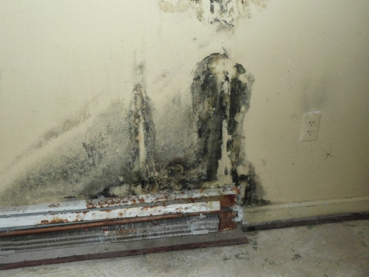 Photo by Mold Inspection & Remediation Experts for Mold Inspection & Remediation Experts