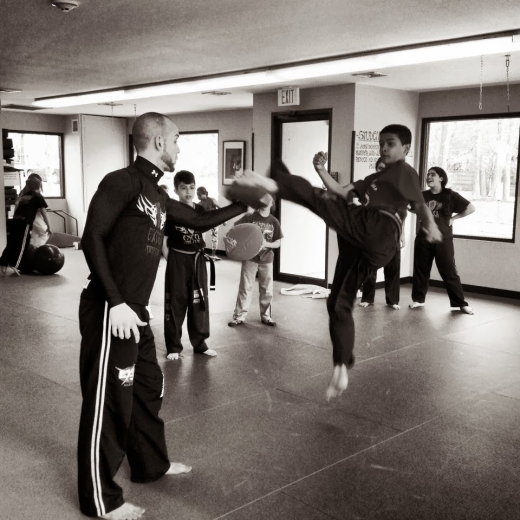 Photo by <br />
<b>Notice</b>:  Undefined index: user in <b>/home/www/activeuser/data/www/vaplace.com/core/views/default/photos.php</b> on line <b>128</b><br />
. Picture for Excel Martial Arts in Larchmont City, New York, United States - Point of interest, Establishment, Health, Gym