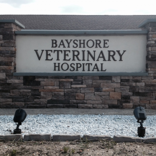 Photo by <br />
<b>Notice</b>:  Undefined index: user in <b>/home/www/activeuser/data/www/vaplace.com/core/views/default/photos.php</b> on line <b>128</b><br />
. Picture for Bayshore Veterinary Hospital in Holmdel City, New Jersey, United States - Point of interest, Establishment, Veterinary care