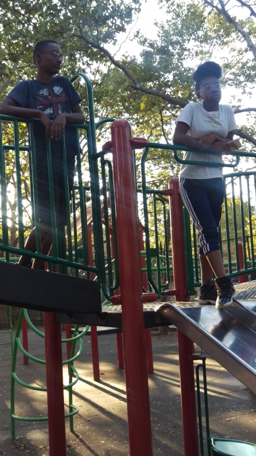 Potomac Playground in Kings County City, New York, United States - #1 Photo of Point of interest, Establishment, Park