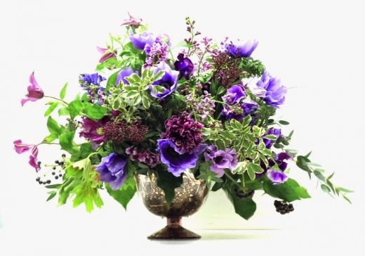 Photo by <br />
<b>Notice</b>:  Undefined index: user in <b>/home/www/activeuser/data/www/vaplace.com/core/views/default/photos.php</b> on line <b>128</b><br />
. Picture for Gotham Florist in New York City, New York, United States - Point of interest, Establishment, Store, Florist