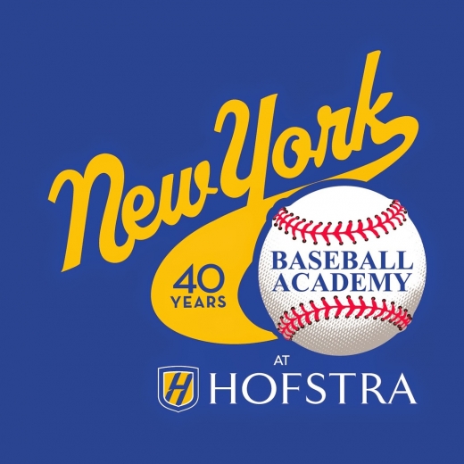 New York Baseball Academy in Hempstead City, New York, United States - #2 Photo of Point of interest, Establishment, School