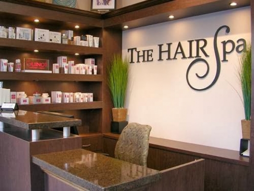 The Hair Spa in Clifton City, New Jersey, United States - #1 Photo of Point of interest, Establishment, Beauty salon, Hair care
