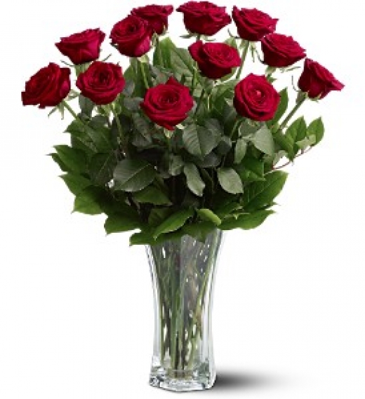 Photo by <br />
<b>Notice</b>:  Undefined index: user in <b>/home/www/activeuser/data/www/vaplace.com/core/views/default/photos.php</b> on line <b>128</b><br />
. Picture for Rigas Flower Mart Inc. in Queens City, New York, United States - Point of interest, Establishment, Store, Florist
