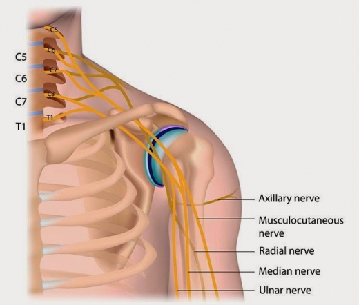 Dr. Andrew E. Price, MD in New York City, New York, United States - #2 Photo of Point of interest, Establishment, Health, Doctor