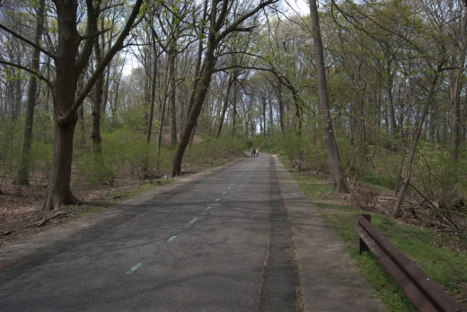 Photo by John P for Motor Parkway Trail