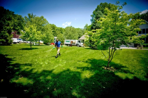 Photo by SavATree/ SavaLawn - Tree and Lawn Care Services for SavATree/ SavaLawn - Tree and Lawn Care Services