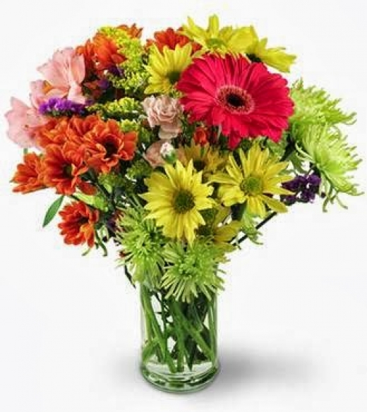 Photo by <br />
<b>Notice</b>:  Undefined index: user in <b>/home/www/activeuser/data/www/vaplace.com/core/views/default/photos.php</b> on line <b>128</b><br />
. Picture for Larrys Florist in Cliffside Park City, New Jersey, United States - Point of interest, Establishment, Store, Florist