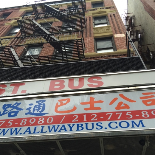 Chinatown Bus in New York City, New York, United States - #1 Photo of Point of interest, Establishment, Bus station, Transit station