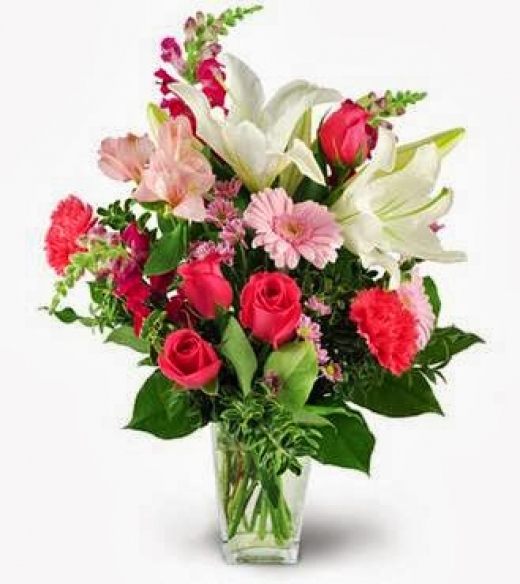 Photo by <br />
<b>Notice</b>:  Undefined index: user in <b>/home/www/activeuser/data/www/vaplace.com/core/views/default/photos.php</b> on line <b>128</b><br />
. Picture for A & S Whitestone Florist in Whitestone City, New York, United States - Point of interest, Establishment, Store, Florist