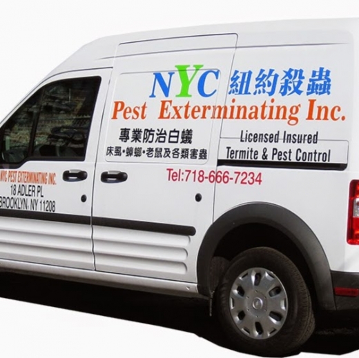 纽约杀虫公司 NYC Pest Exterminating in Kings County City, New York, United States - #1 Photo of Point of interest, Establishment, Store, Home goods store