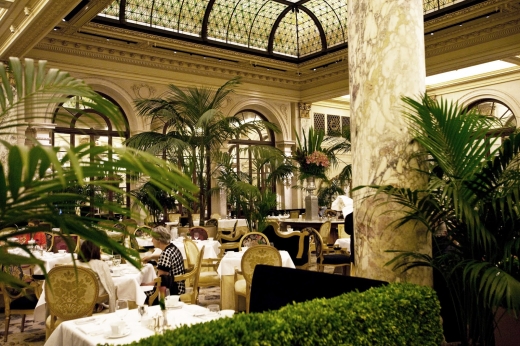 The Palm Court in New York City, New York, United States - #2 Photo of Restaurant, Food, Point of interest, Establishment, Bar