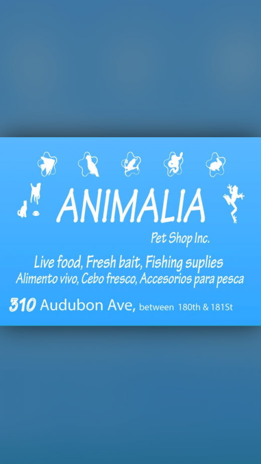 Animalia Pet Shop Inc in New York City, New York, United States - #2 Photo of Point of interest, Establishment, Store