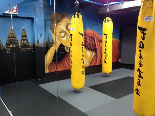 Photo by <br />
<b>Notice</b>:  Undefined index: user in <b>/home/www/activeuser/data/www/vaplace.com/core/views/default/photos.php</b> on line <b>128</b><br />
. Picture for Ringsport Muay Thai /kickboxing/ Judo in Queens City, New York, United States - Point of interest, Establishment, Health