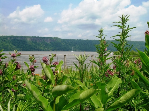 Sarah Lawrence College Center for the Urban River at Beczak in Yonkers City, New York, United States - #3 Photo of Point of interest, Establishment