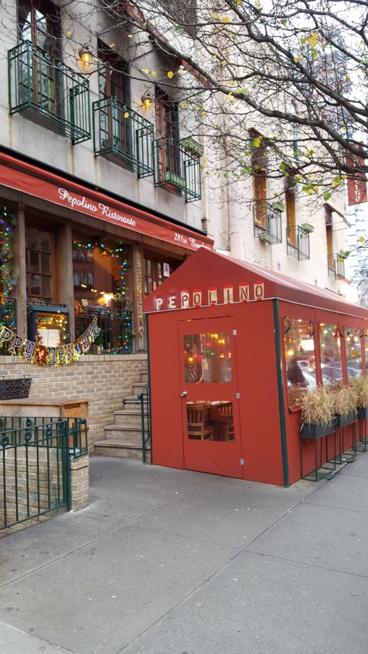 Pepolino in New York City, New York, United States - #2 Photo of Restaurant, Food, Point of interest, Establishment