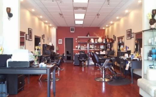 Hairspray Beauty Salon in Bronx City, New York, United States - #2 Photo of Point of interest, Establishment, Beauty salon