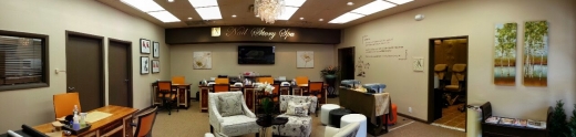 Nail Story Spa in Verona City, New Jersey, United States - #2 Photo of Point of interest, Establishment, Beauty salon, Hair care