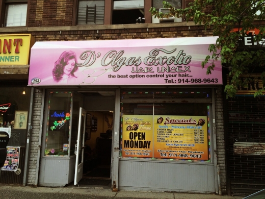 d'olga exotic hair salon in Yonkers City, New York, United States - #1 Photo of Point of interest, Establishment, Beauty salon