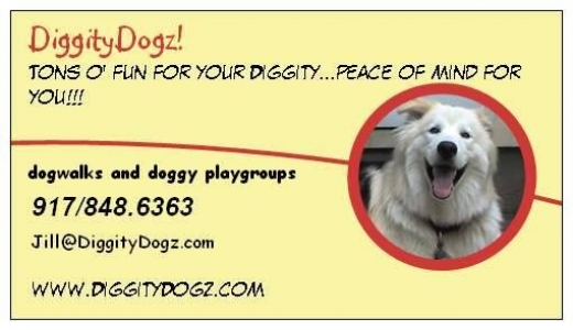 DiggityDogz! Dog Walks and Doggy Playgroups in New York City, New York, United States - #1 Photo of Point of interest, Establishment