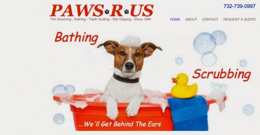 Paws R US Pet Grooming in Keyport City, New Jersey, United States - #2 Photo of Point of interest, Establishment