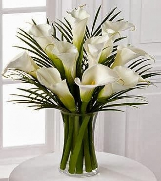 Photo by <br />
<b>Notice</b>:  Undefined index: user in <b>/home/www/activeuser/data/www/vaplace.com/core/views/default/photos.php</b> on line <b>128</b><br />
. Picture for Crimson Rose Florist in Bronxville City, New York, United States - Point of interest, Establishment, Store, Florist