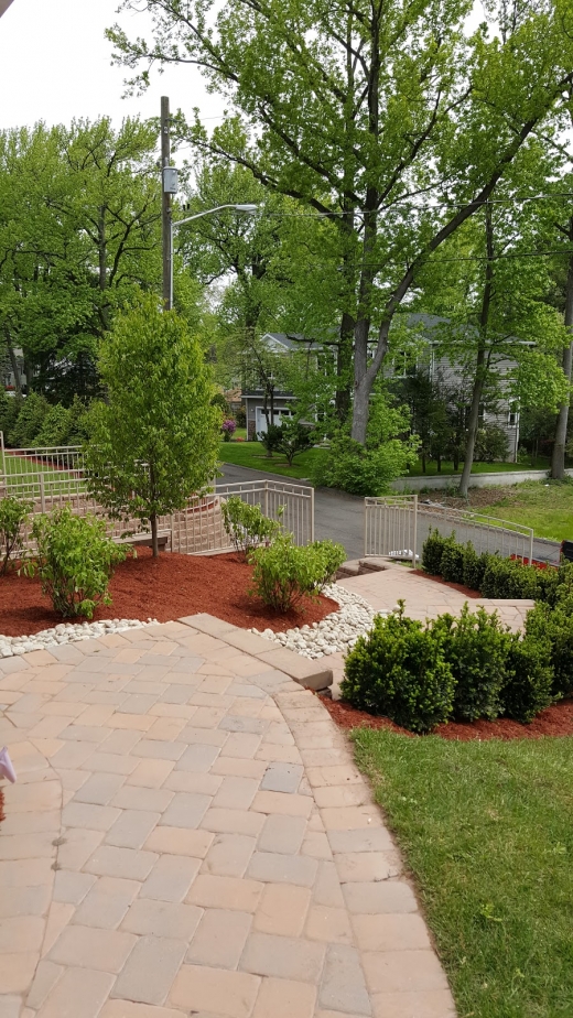 Photo by <br />
<b>Notice</b>:  Undefined index: user in <b>/home/www/activeuser/data/www/vaplace.com/core/views/default/photos.php</b> on line <b>128</b><br />
. Picture for Joe Valente Landscaping in Dumont City, New Jersey, United States - Point of interest, Establishment, General contractor