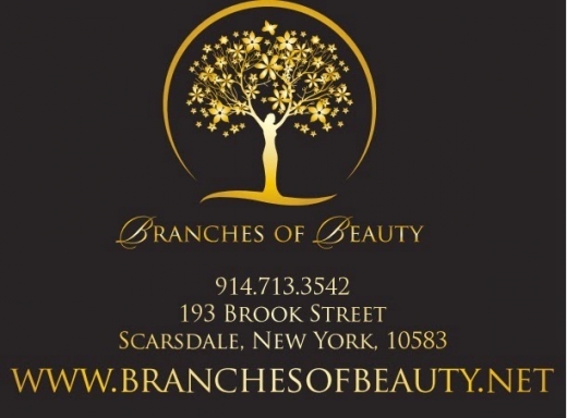 Branches of Beauty in Scarsdale City, New York, United States - #3 Photo of Point of interest, Establishment, Store, Health, Clothing store