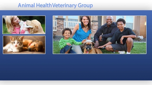 Animal Health Veterinary Group in Staten Island City, New York, United States - #4 Photo of Point of interest, Establishment, Veterinary care