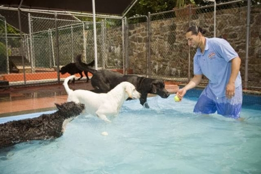 Mamaroneck Veterinary Hospital & Pet Resort in Mamaroneck City, New York, United States - #1 Photo of Point of interest, Establishment, Veterinary care