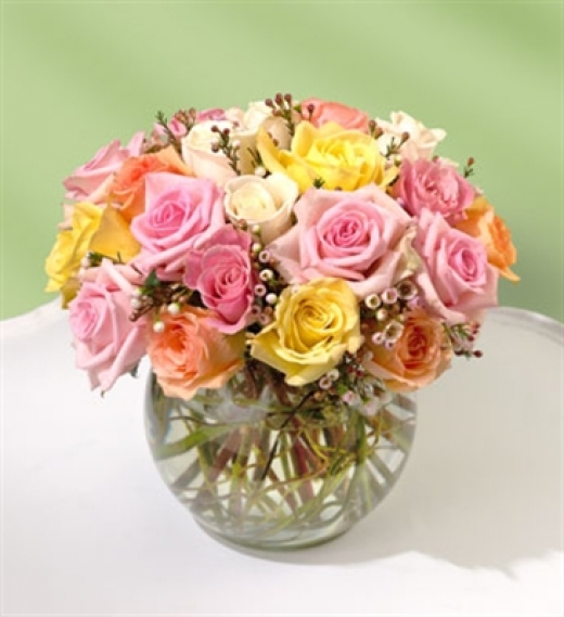 Photo by <br />
<b>Notice</b>:  Undefined index: user in <b>/home/www/activeuser/data/www/vaplace.com/core/views/default/photos.php</b> on line <b>128</b><br />
. Picture for Florals By Jason Peter in Closter City, New Jersey, United States - Establishment